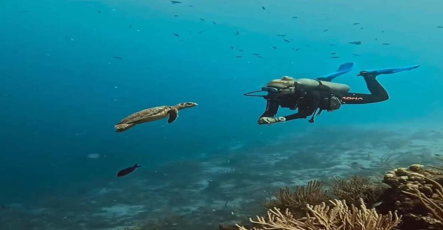 Antalya, Side and Alanya: Scuba Diving with Lunch & 2 Dives - Key things to know before you go