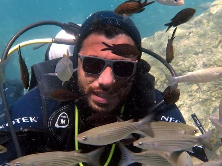 Antalya, Side and Alanya: Scuba Diving with Lunch & 2 Dives - What you might see: wrecks, amphoras, caves, and sea turtles
