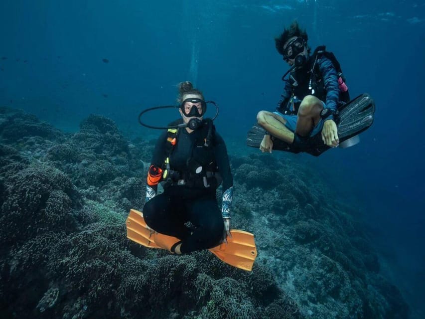 Antalya, Side and Alanya: Scuba Diving with Lunch & 2 Dives - Photos, video, and the €40 decision