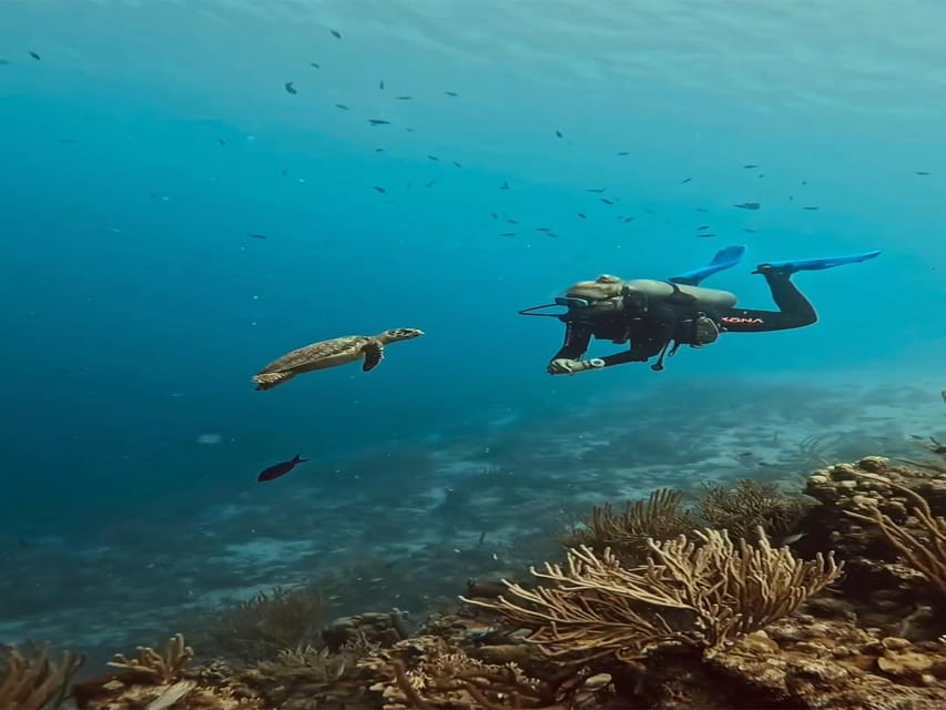 Antalya, Side and Alanya: Scuba Diving with Lunch & 2 Dives - The real schedule: a 7-hour day with transfers and port time