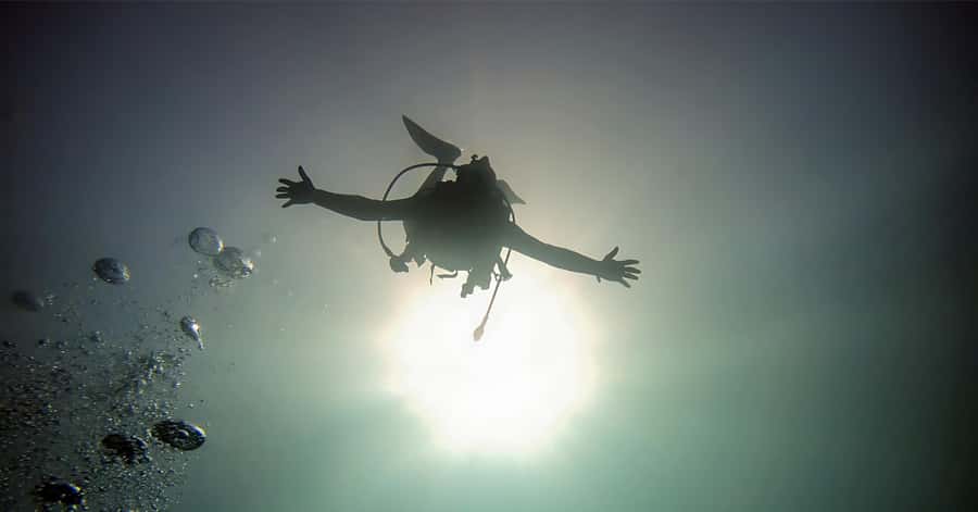 Aqaba Dive Adventure: Explore The Red Sea On A Tour - Key things I’d plan around