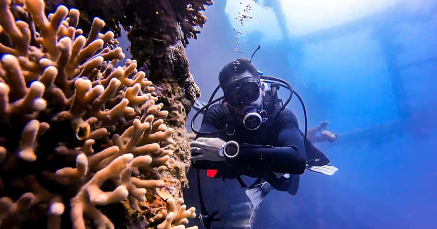 Aqaba Dive Adventure: Explore The Red Sea On A Tour - Photo Stop and Wildlife Viewing: Set Your Eyes Before You Go Under