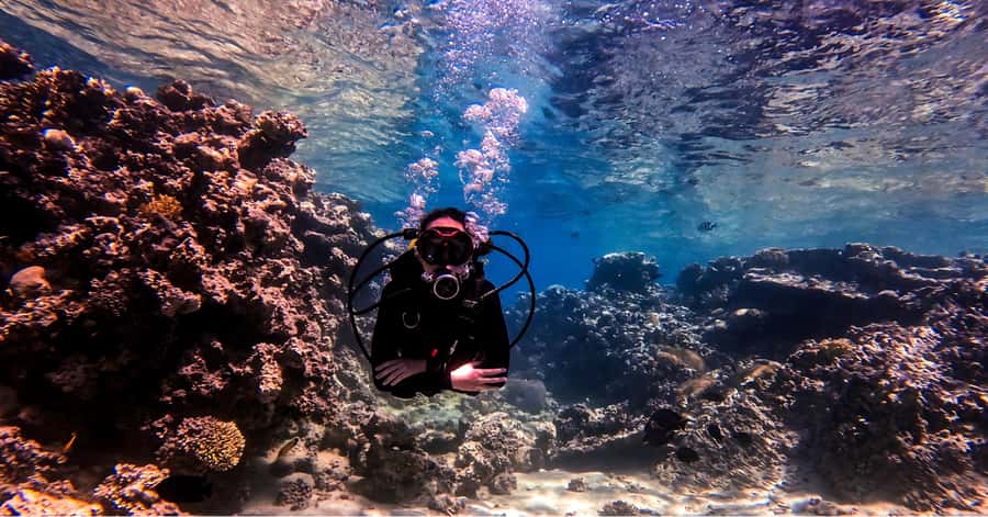 Aqaba Dive Adventure: Explore The Red Sea On A Tour - 45 Minutes Underwater: Coral Reefs, Fish, and a Sunken Tank
