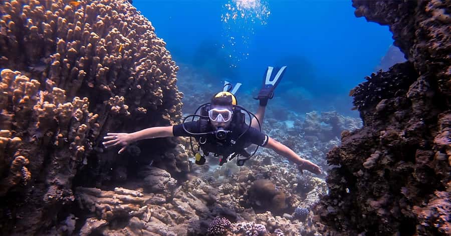Aqaba Dive Adventure: Explore The Red Sea On A Tour - The Safety Briefing and Underwater Communication Signs