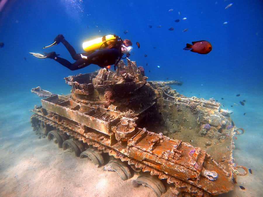Aqaba: Private Red Sea Diving for Beginner or Experienced - The 2-hour schedule: how the timing really feels