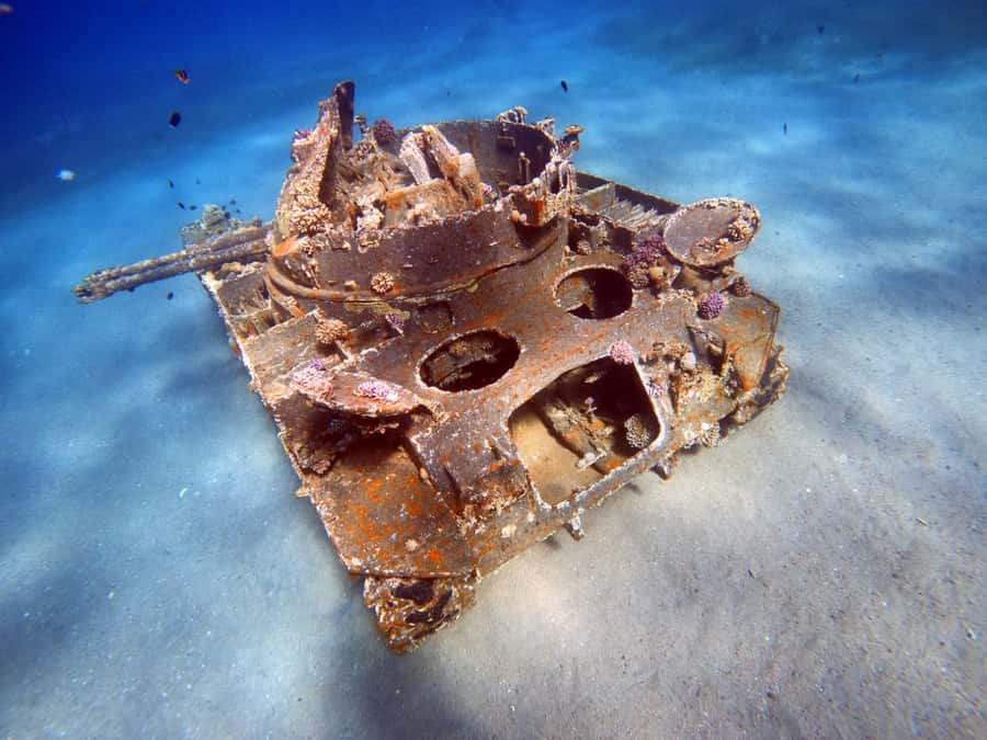 Aqaba: Private Red Sea Diving for Beginner or Experienced - Private coaching that keeps your nerves in check