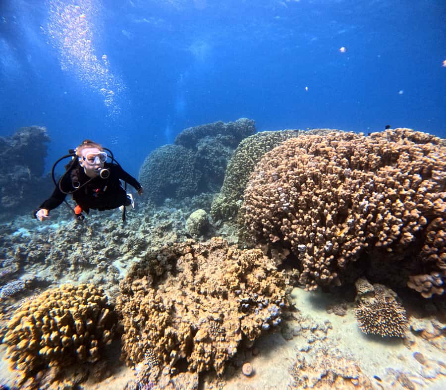 Aqaba: Private Red Sea Diving for Beginner or Experienced - Equipment and the photo/video package you’ll actually use