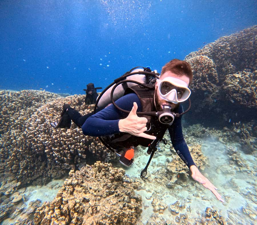 Aqaba: Private Red Sea Diving for Beginner or Experienced - Price and value: why $50 can make sense here
