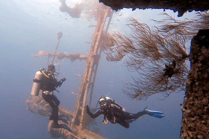 Aqaba Private Scuba Diving Activity with Pick Up - Hammerhead Diving Center: how the ~3-hour plan works