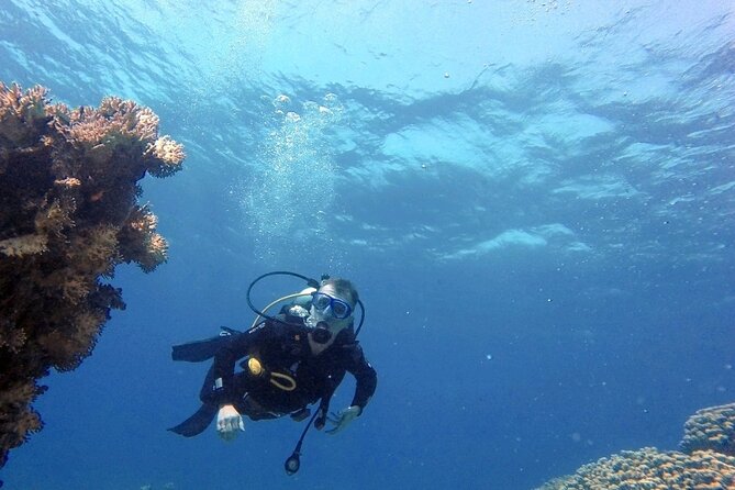 Aqaba Private Scuba Diving Activity with Pick Up - Instructors who keep you calm: Ahmed, Omar, Mahmoud, and Thaer