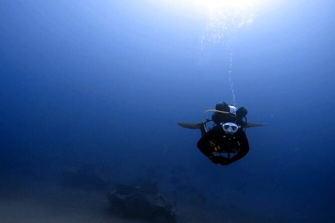 Aqaba Private Scuba Diving Activity with Pick Up - Value and pricing: what $56.58 buys in real comfort