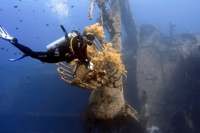 Aqaba Private Scuba Diving Activity with Pick Up - Who should book this Aqaba experience