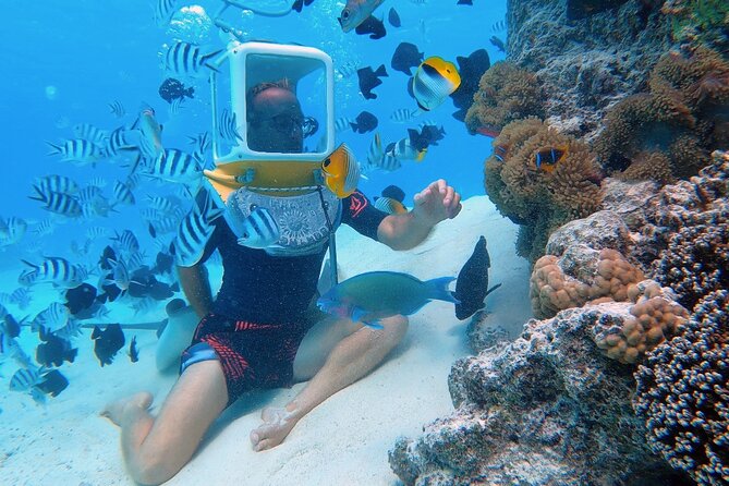 Aqua Safari Introductory Helmet Dive (Underwater Walk) - Key points before you go