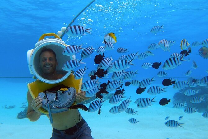 Aqua Safari Introductory Helmet Dive (Underwater Walk) - Why Bora Bora’s helmet walk beats regular snorkeling