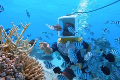 Aqua Safari Introductory Helmet Dive (Underwater Walk) - The helmet and briefing: your ear, breathing, and balance checklist