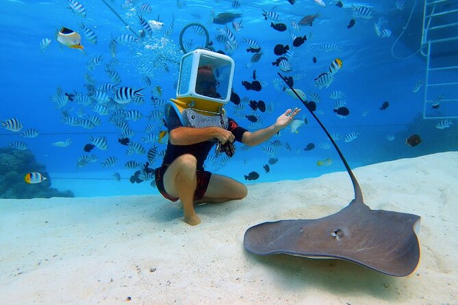 Aqua Safari Introductory Helmet Dive (Underwater Walk) - Price and value in Bora Bora