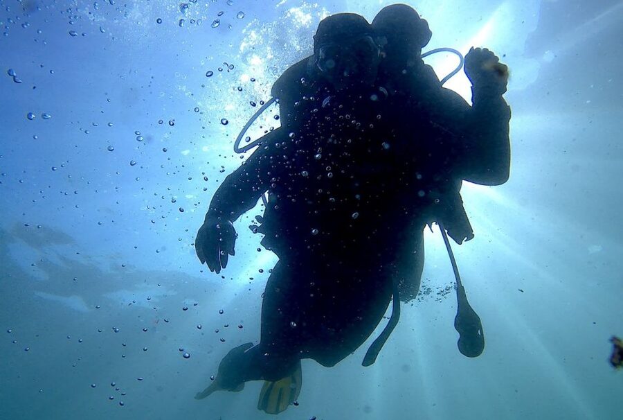 Arrábida - Sesimbra: Eco-Friendly Beginner's Scuba Diving - The 4-hour flow: from briefing to your first time below the surface