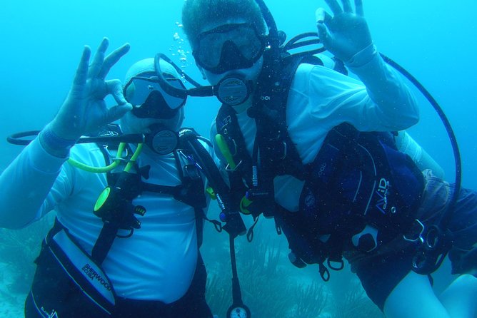 Aruba 1-Tank guided Dive for certified divers with own equipment - Price, tax, and value: is $79 a good deal?