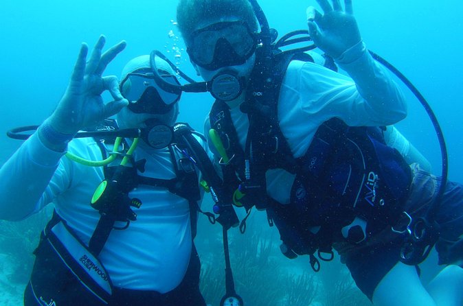 Aruba 1-Tank guided Dive for certified divers with own equipment - Who should book this outing (and who should skip it)