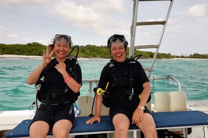 Aruba 1-Tank guided Dive for certified divers with rental equipment - Timing, group size, and how the day usually flows