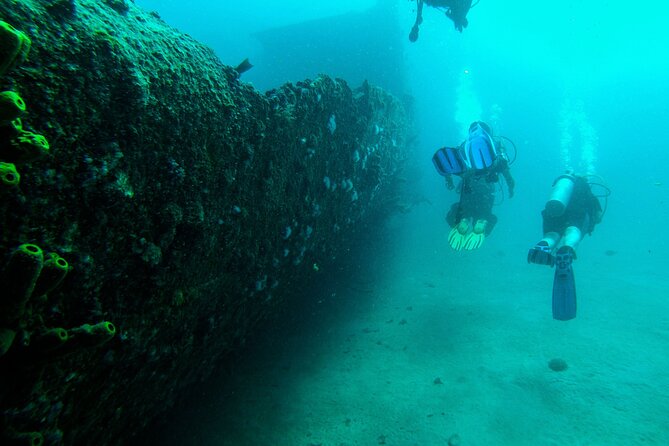 Aruba 2-Tank Dive Excursion for Certified Divers - Underwater Stop Mix: Antilla, Pedernales, Star Gerren, plus Fingers, Skalahein, and Kantel Reef