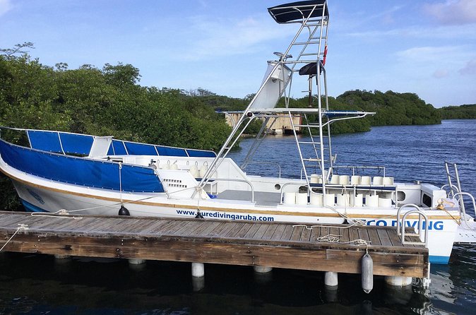 Aruba 2-Tank guided Dive for certified divers / own equipment - Price and value: $109 for a two-stop guided morning