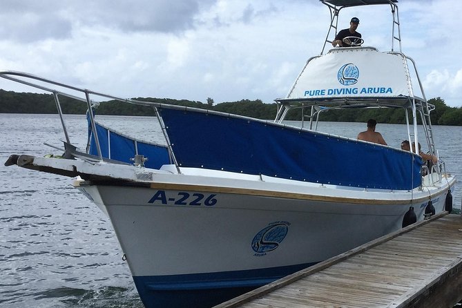 Aruba 2-Tank Guided Dive for Certified Divers / rental equipment - What This Aruba Two-Tank Scuba Plan Really Does for You