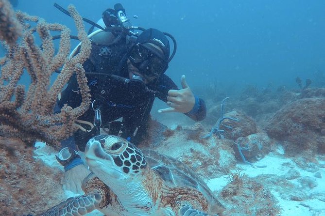 Aruba Certified Scuba Diving - Aruba Certified Scuba: Who This Trip Fits Best