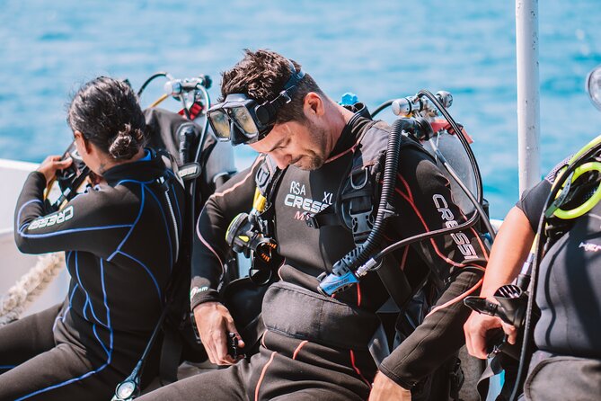 Aruba Guided Night Dive Adventure: Shallow Reefs or Shipwrecks - Key highlights you’ll actually care about