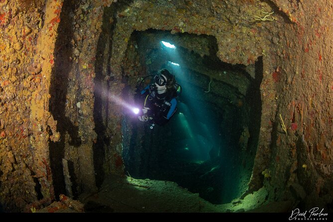 Aruba Guided Night Dive Adventure: Shallow Reefs or Shipwrecks - How to be a safe, comfortable buddy at night