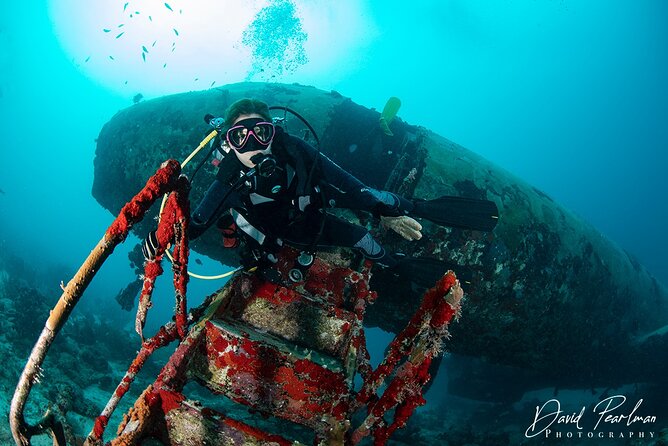 Aruba One or Two Tank Scuba Dive - Wrecks and reefs: the Antilla story plus extra reef-site surprises