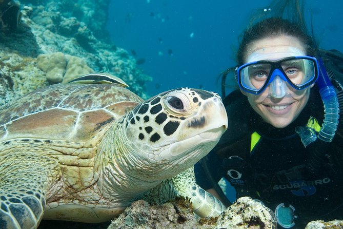 Aruba One or Two Tank Scuba Dive - Your guide, your safety checks, and what you’re responsible for