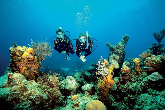 Aruba One or Two Tank Scuba Dive - Value check: is this Aruba outing worth $30.74?
