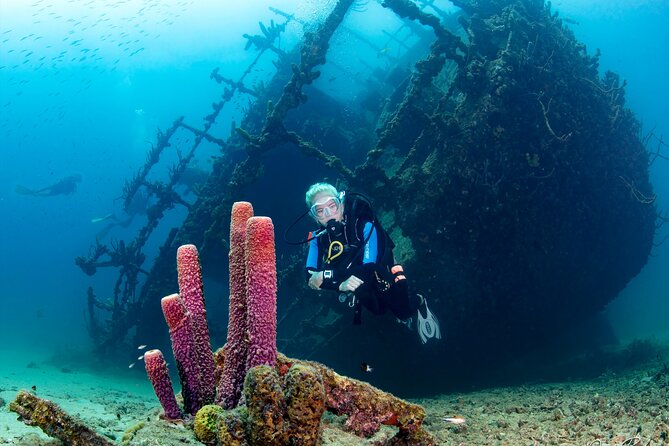 Aruba One or Two Tank Scuba Dive - One tank or two: how to pick the right Aruba timing
