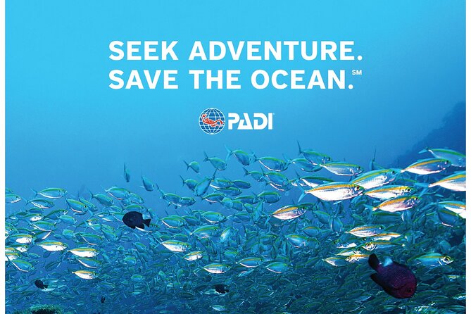 Aruba PADI Scuba Diving Program Non Certified Divers - Gear Included Means You Can Travel Lighter