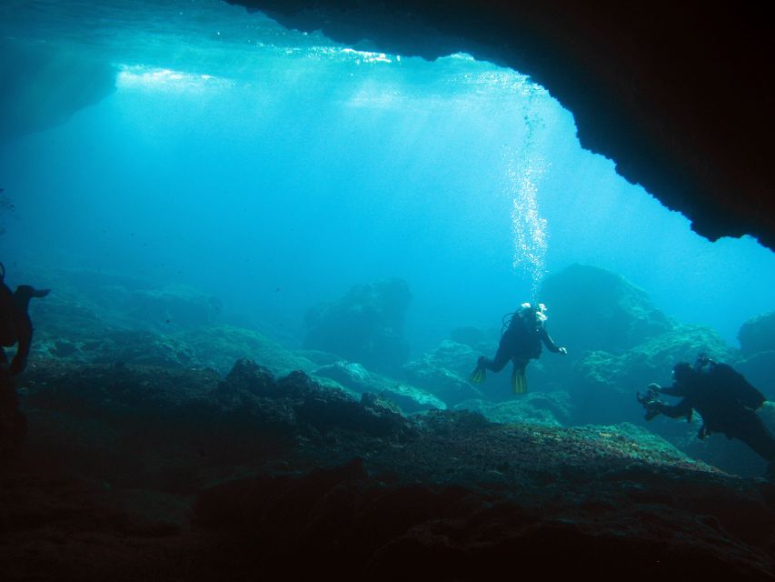 Athens: Adventure Dives in Nea Makri for Certified Divers - Key highlights
