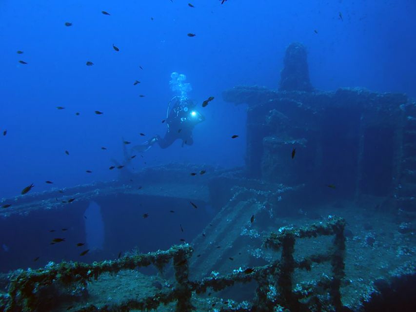Athens: Adventure Dives in Nea Makri for Certified Divers - Nea Makri to Schinias Bay: Why this Athens-area outing works