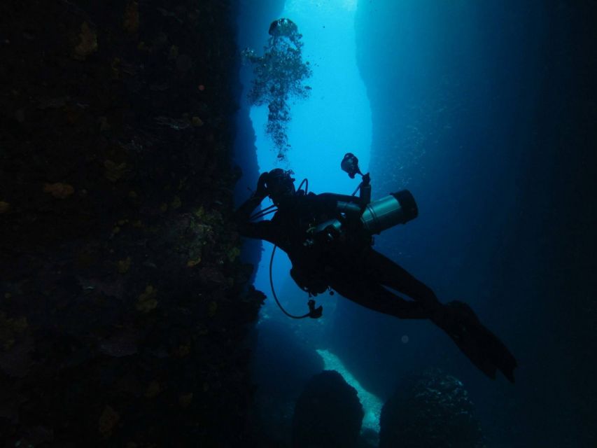 Athens: Adventure Dives in Nea Makri for Certified Divers - Who this is best for (and who should skip it)
