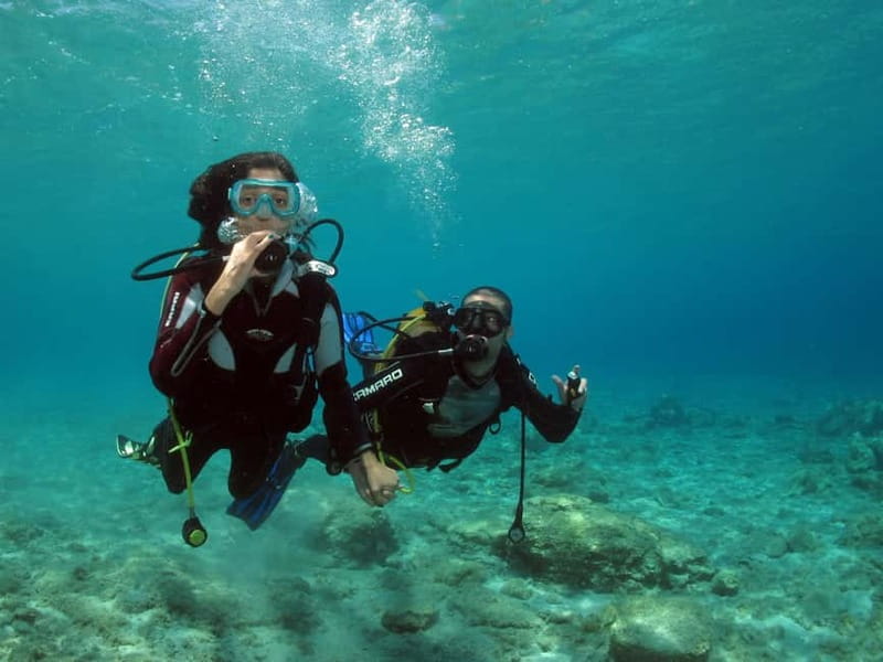 Athens: Discover Scuba Diving Experience for Beginners - The eLearning Medical Statement: Handling the Paperwork Before the Water