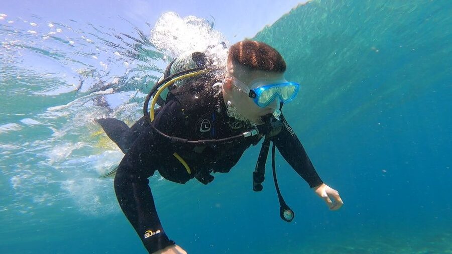 Athens East Coast: Discover Scuba Diving in Nea Makri - The main sea-bed session: what you’ll see around 5–6 meters