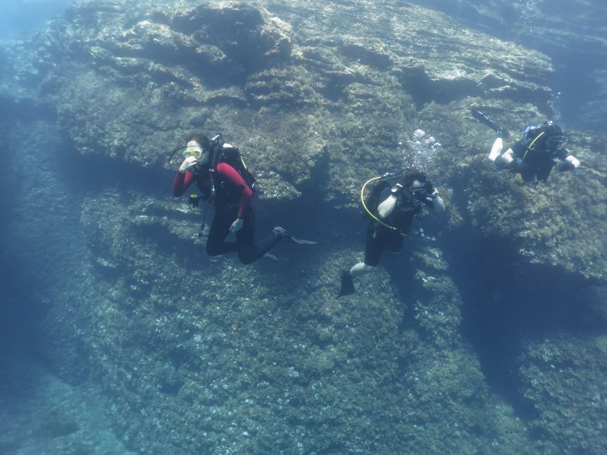 Athens: Private Discover Scuba Diving for Beginners - First-timer scuba in Athens: what this “Discover” format is really for
