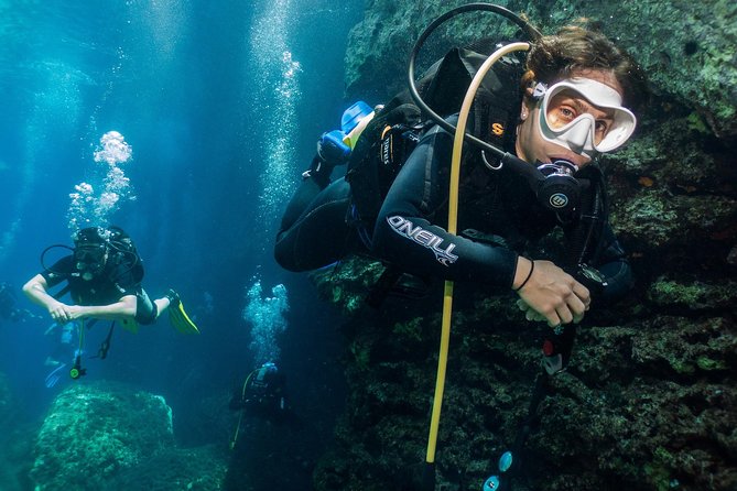 Athens Scuba Diving Experience for Certified Divers with Pickup - Who Should Book This Scuba Site in Athens (and Who Might Rethink It)