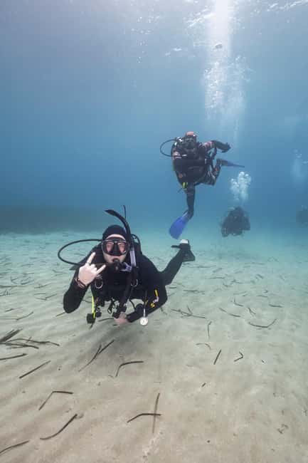 Athens: Single or Double Scuba diving for certified divers - Full Equipment and Tank Sizes: Comfort and Safety by Design
