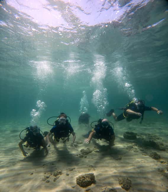 Athens: Try Scuba Diving - Should You Book This Athens SCUBA Try Session?