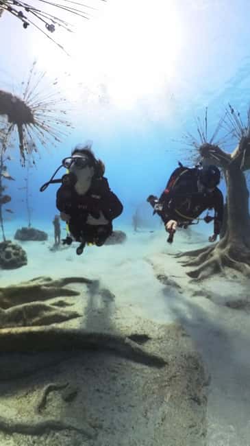 Ayia Napa: Musan Underwater Museum Scuba Dive - Key Things I’d Watch For Before You Go
