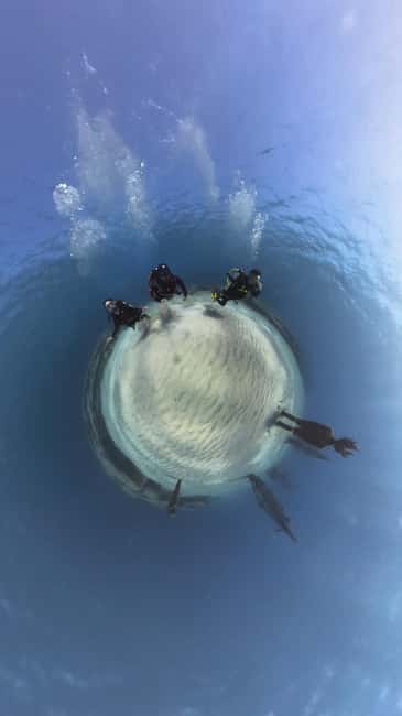 Ayia Napa: Musan Underwater Museum Scuba Dive - Try-scuba setup: equipment included, coaching in your language