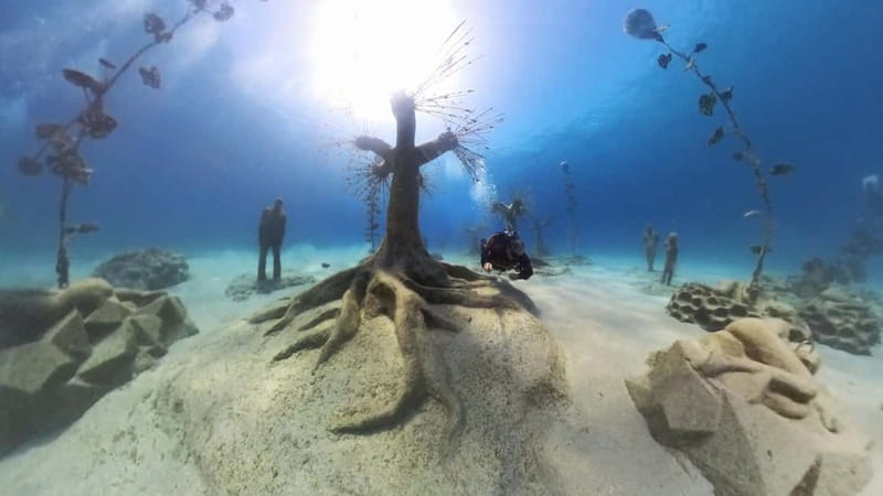 Ayia Napa: Musan Underwater Museum Scuba Dive - Your underwater “forest walk”: what you’ll see around the 93 sculptures