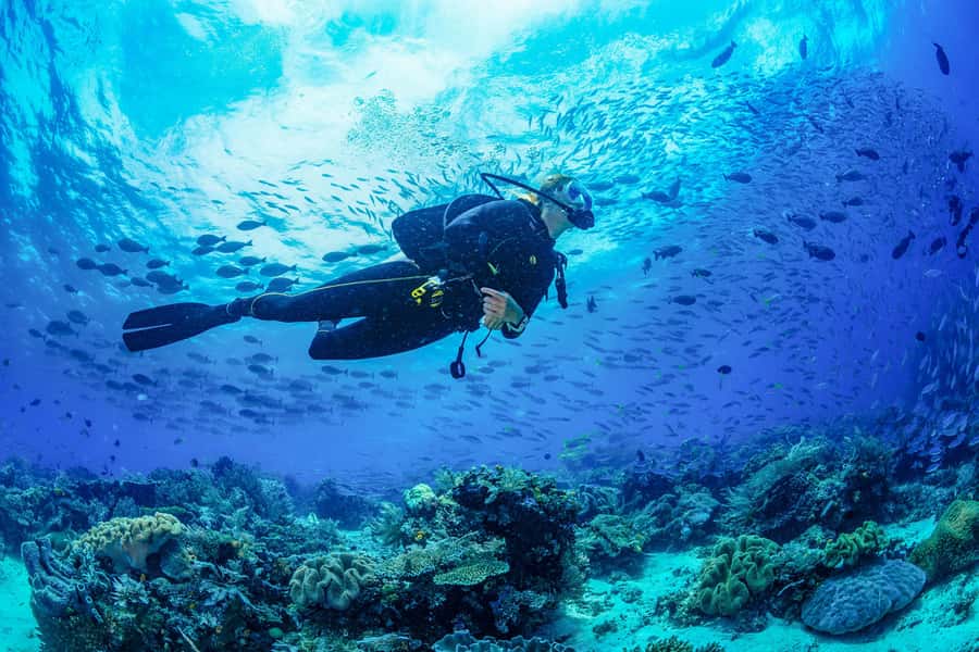 Bali: 3-Days PADI Open Water Diving Course - Day 2 in Padang Bai: Blue Lagoon Underwater Sessions and a Lunch Break