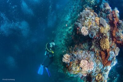 Bali Diving Day Trip-Manta Point/Tulamben Shipwreck-Fun Dive - Gear, paperwork, and that small-ratio promise