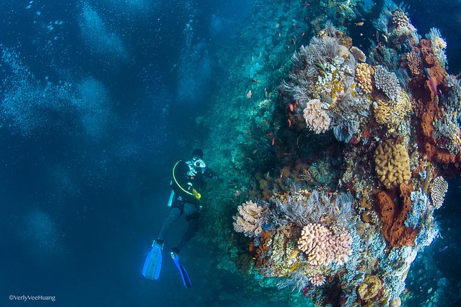 Bali Diving Day Trip-Manta Point/Tulamben Shipwreck-Fun Dive - Gear, paperwork, and that small-ratio promise